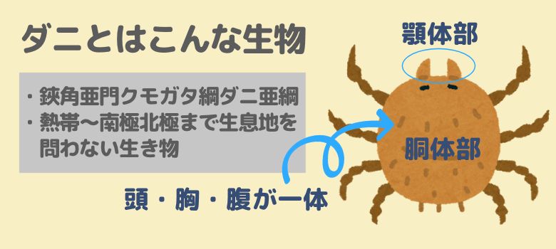 ダニはこんな生物