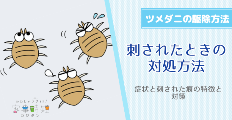 ツメダニの駆除方法！症状と刺された痕の特徴と対策