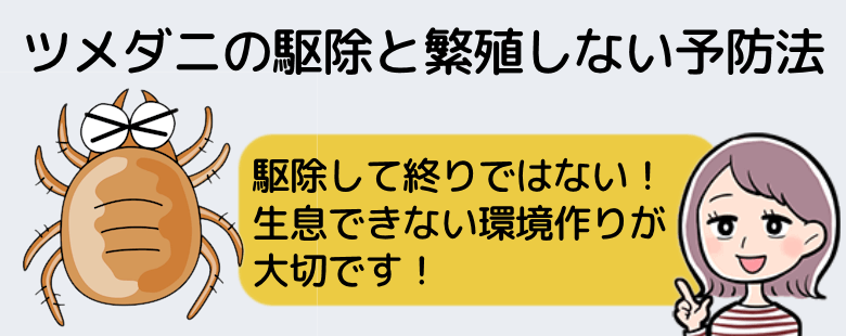 ツメダニの駆除法と繁殖しない予防法