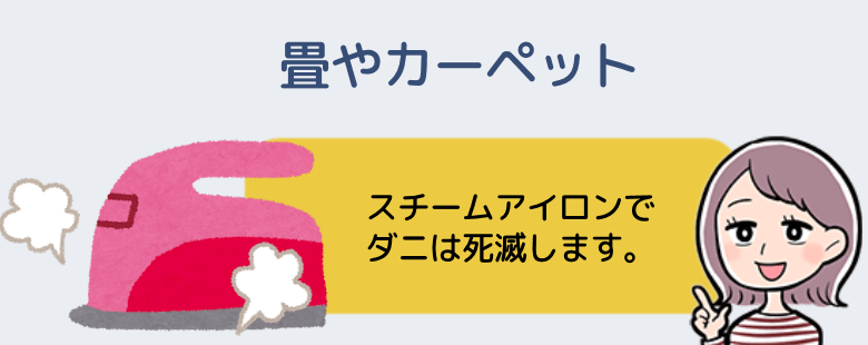 畳やカーペットはスチームアイロンかダニアース