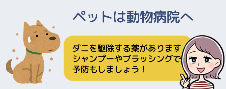 ペットは獣医に行き駆除剤をもらおう