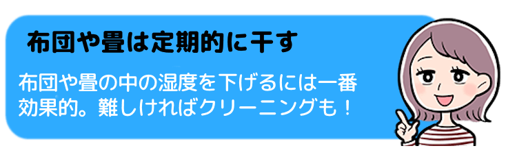 布団や畳を定期的に干してケアする