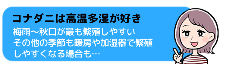 コナダニは高温多湿が好き