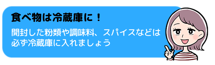 食べ物は冷蔵庫にしまう