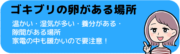 ゴキブリの卵がある場所