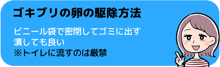 ゴキブリの卵の駆除方法