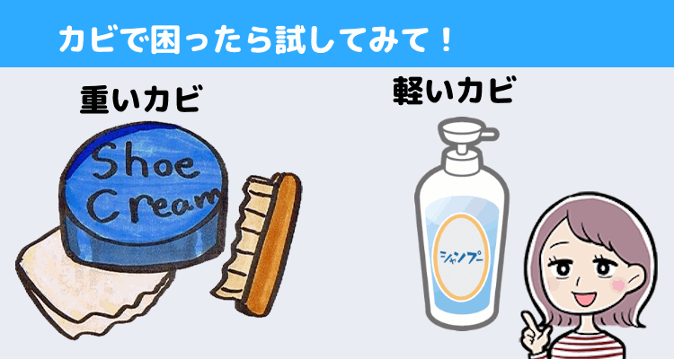 カビが目立つ場合はどうする？自分である程度カビ取りも可能！