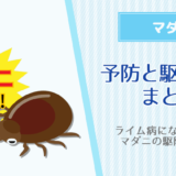 マダニの対策！ライム病にならない為の予防と駆除方法まとめ