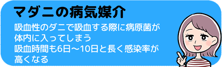 マダニの病気媒介