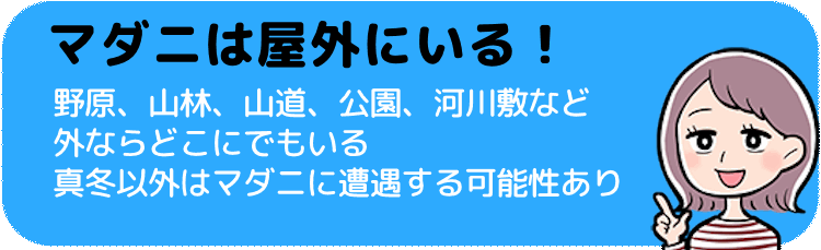 マダニは屋外にいる！