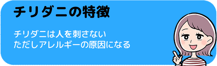 チリダニ（ヒョウヒダニ）の特徴