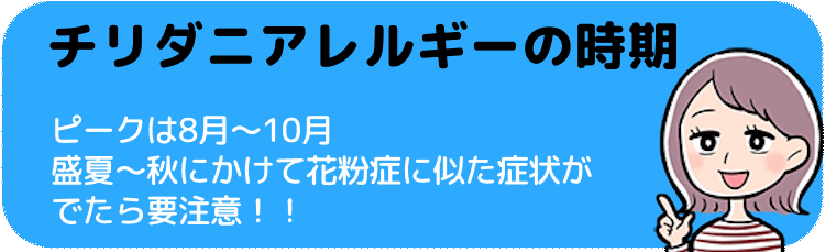 チリダニアレルギーの時期