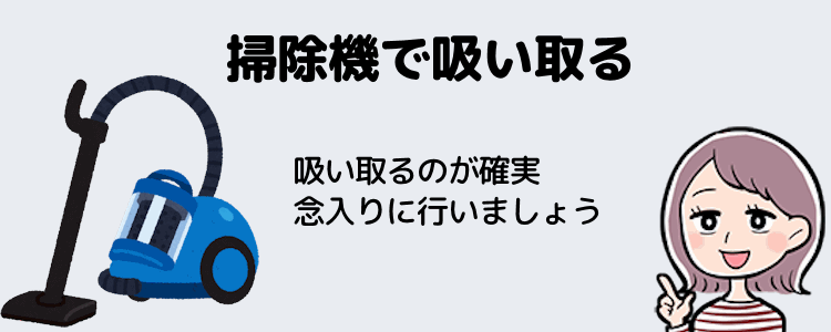 掃除機で吸い取る