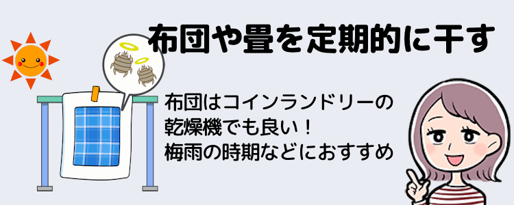 布団や畳を定期的に干して湿度を下げる