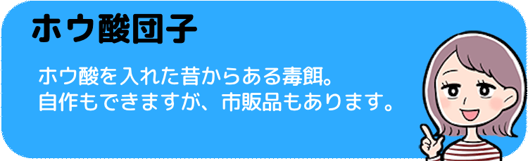 ホウ酸団子とは？