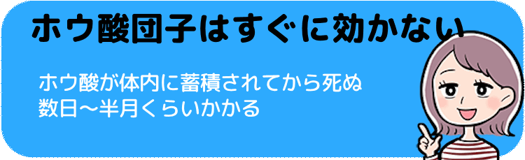 ホウ酸団子は遅効性