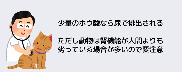 人間やペットが食べてしまったら大変なことになるのでは？