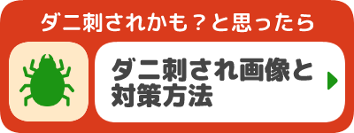 ダニ刺され画像と対策方法