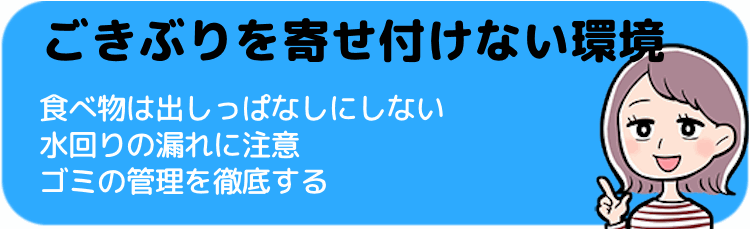 ごきぶりを寄せ付けない環境