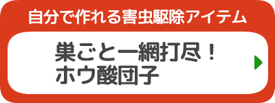 巣ごと一網打尽！ホウ酸団子