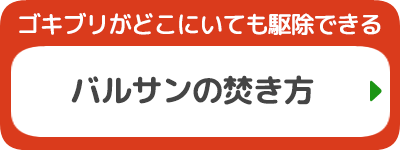 バルサンの焚き方