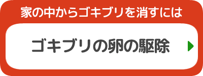 ゴキブリの卵の駆除