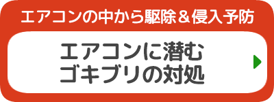 エアコンに潜むゴキブリの対処