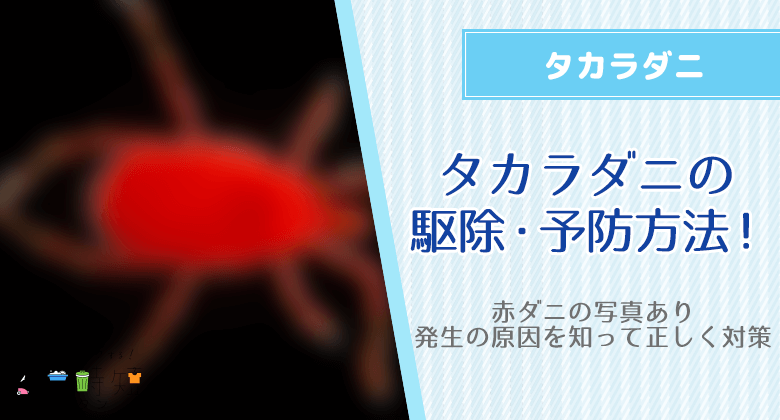 （赤ダニの写真あり）タカラダニの駆除・予防方法！発生の原因を知って正しく対策