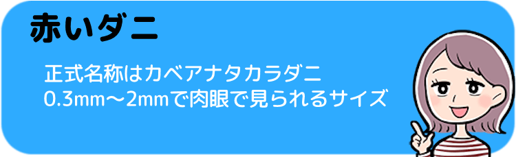 タカラダニ