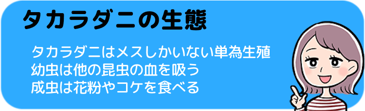 タカラダニの生態