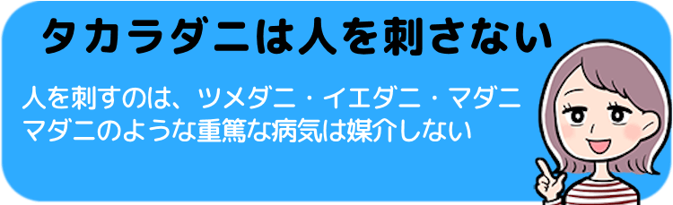 タカラダニは人を刺さない