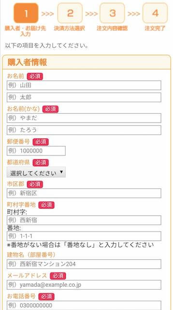 氏名や住所など、必要な情報を入力していきましょう