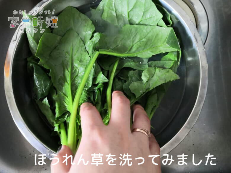 ほうれん草を洗ってみました