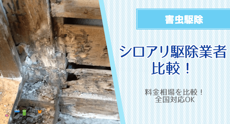 シロアリ駆除業者の料金相場を比較しておすすめ！全国対応OK