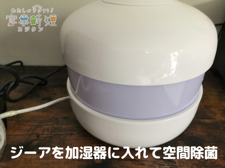 ジーアを加湿器に入れて空間除菌