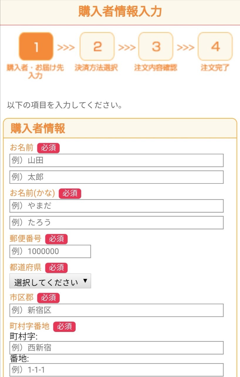 お届け先の情報を入力
