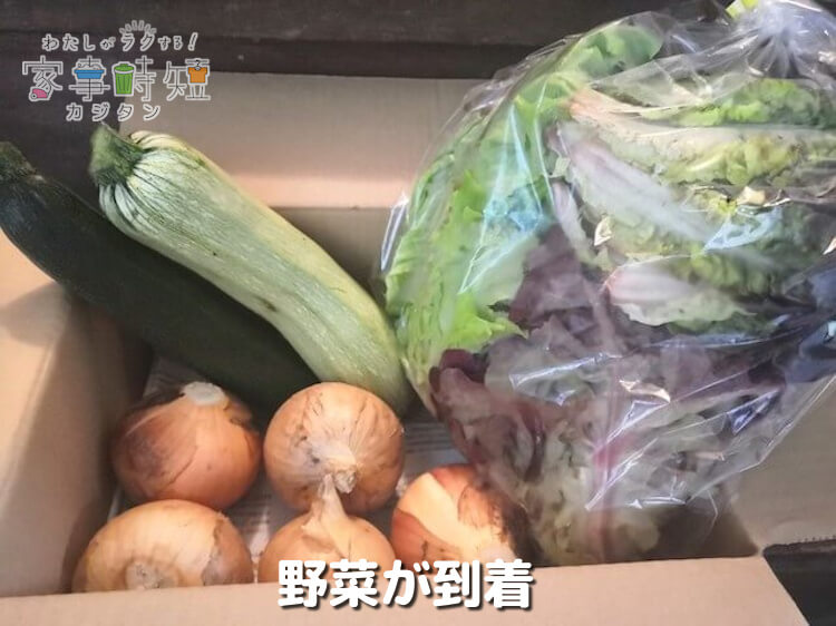 野菜が到着