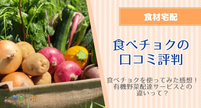 食べチョクの口コミ評判と使ってみた感想！有機野菜配達サービスとの違いって？