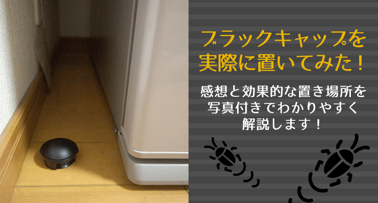 ブラックキャップを実際に置いてみた！