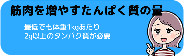 筋肉を増やす（バルクアップ）ために必要なたんぱく質の量