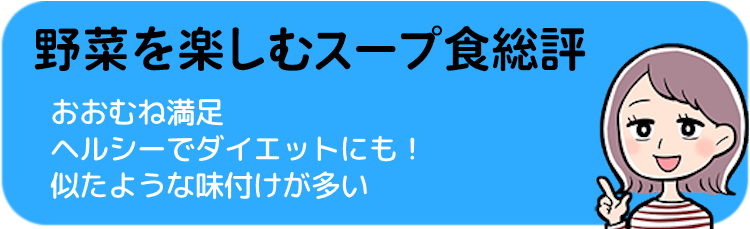 野菜を楽しむスープ食の総評